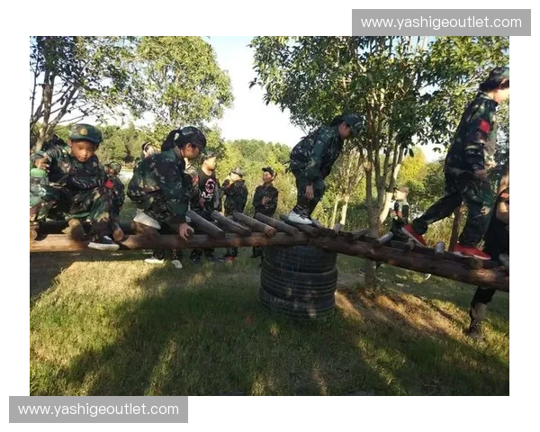 揭秘英雄模式加尔成长之路与战斗智慧全面解析指南增强策略全书集